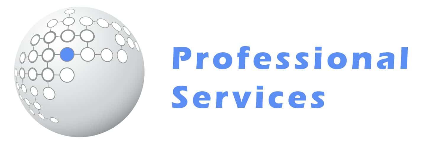 EasyData Professional services