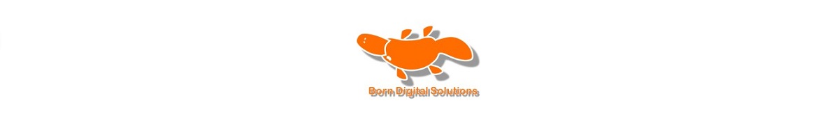 Born Digital Solutions